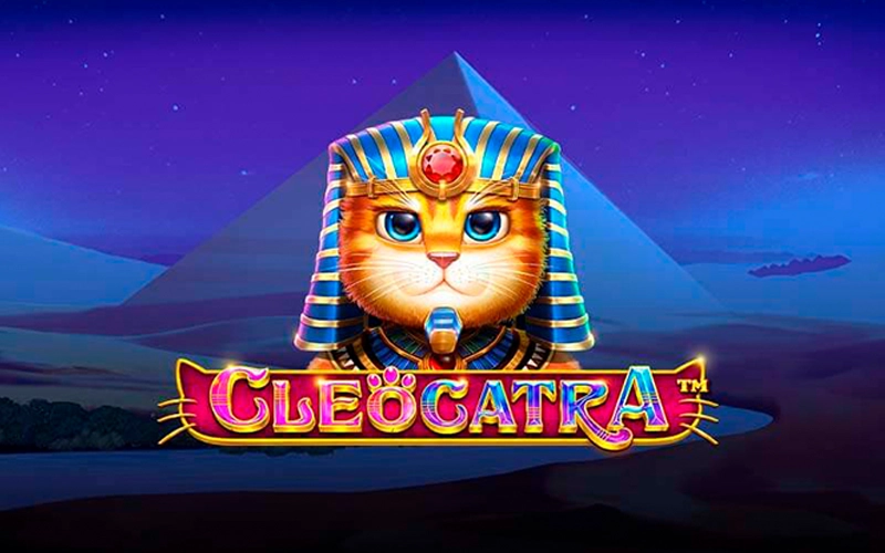 Jogo do foguete que ganha dinheiro bet365